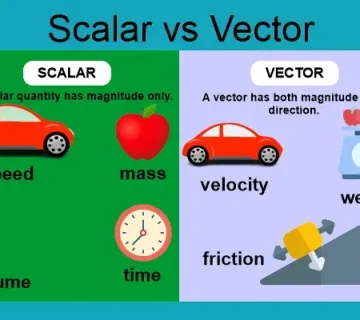 Difference between vector and scalar control